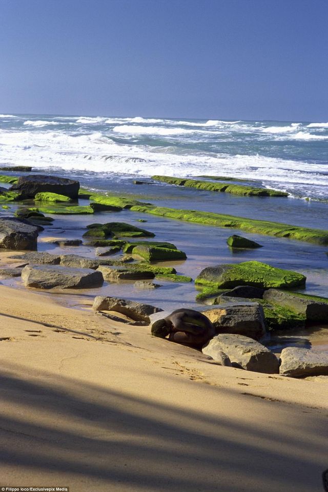 Знайди жінку: фотограф створив унікальну серію знімків - фото 156389