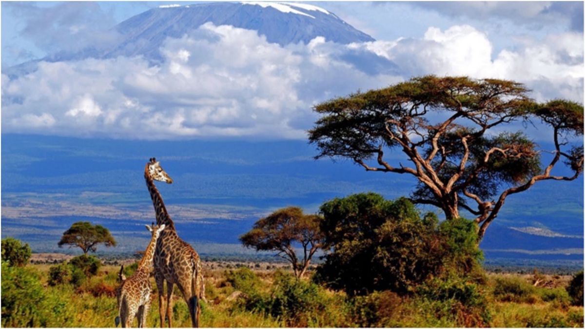 Кіліманджаро - фото 1