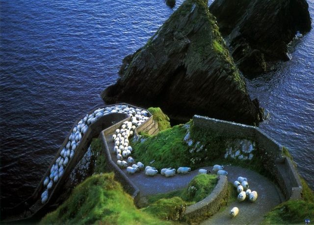 Чарівна і дивацька Ірландія, від якої перехоплює дух - фото 160256