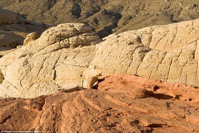 Знайди жінку: фотограф створив унікальну серію знімків - фото 156386