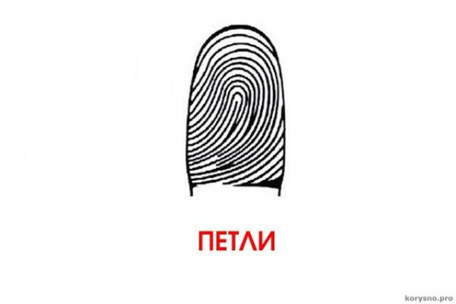 Подивися на свої пальці: а раптом ти – геній? - фото 158913