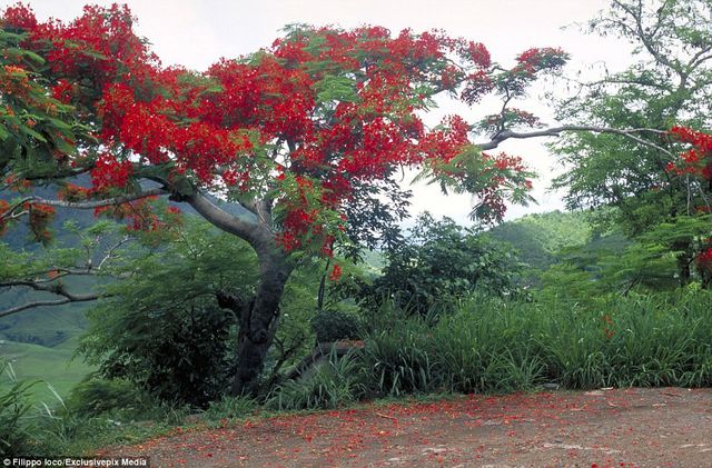Знайди жінку: фотограф створив унікальну серію знімків - фото 156394