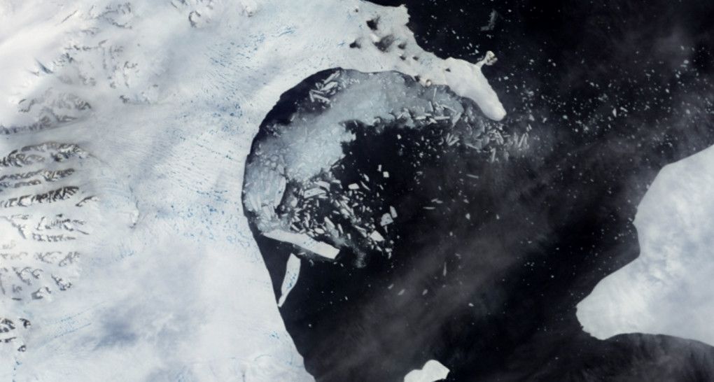 Як "зароджується" найбільший айсберг у світі: з'явилося відео
