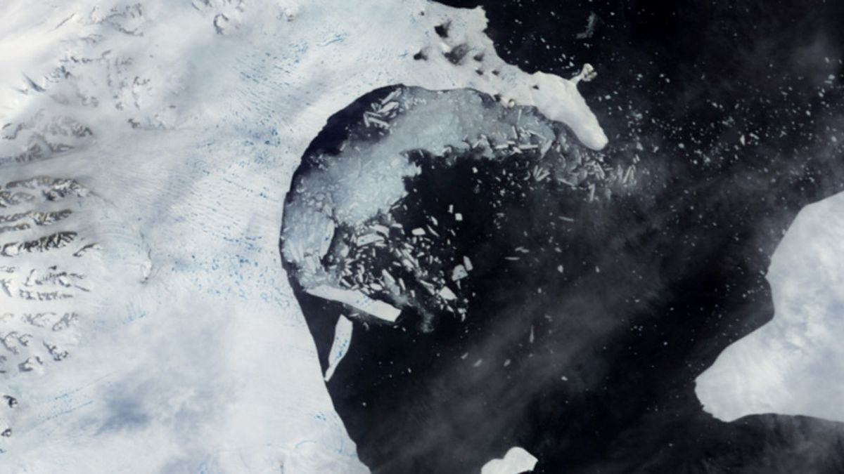 Як "зароджується" найбільший айсберг у світі: з'явилося відео - фото 1