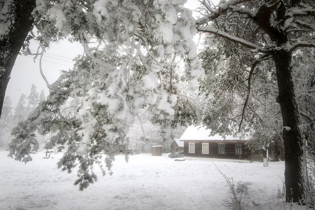 Білорусь на Великдень раптово замело снігом: вражаючі фото - фото 160216