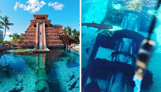 10 божевільних атракціонів світу, від яких перехоплює подих - фото 162789