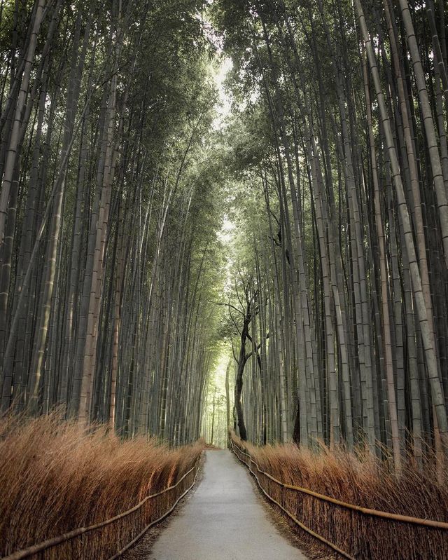 Багоповерхівки та природа: Китай, який не бачать туристи - фото 161057