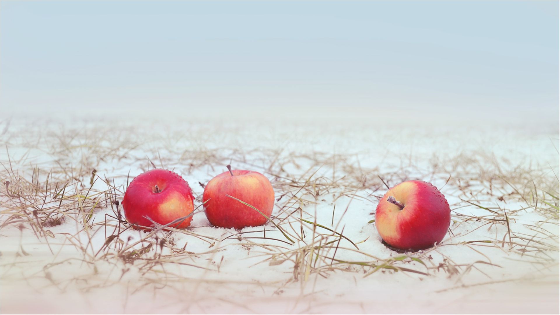 Синоптики знову обіцяють українцям заморозки