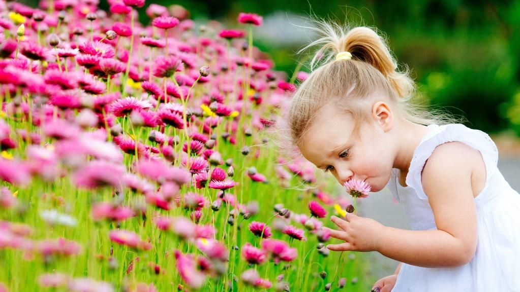 Яку погоду українцям очікувати у п'ятницю