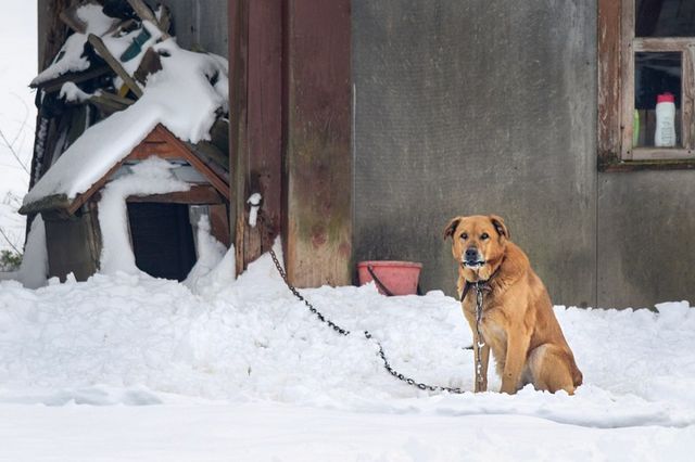 Білорусь на Великдень раптово замело снігом: вражаючі фото - фото 160211