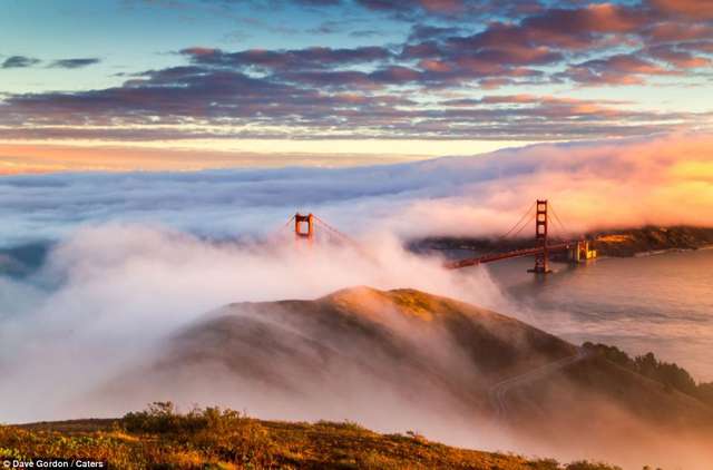Сан-Франциско в тумані: заворожуючі фото - фото 158799