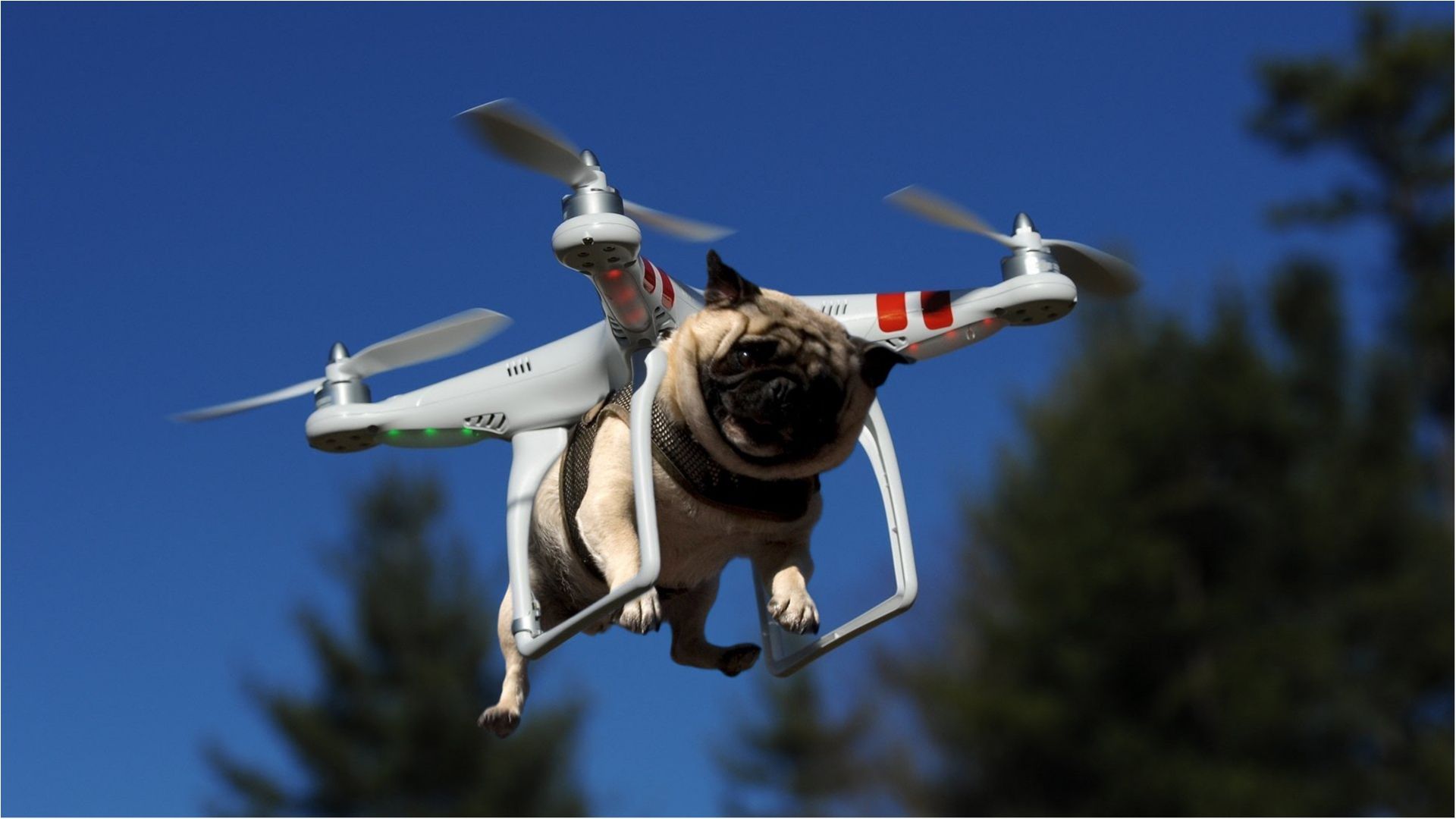 Соцмережі розсмішив росіянин, який рятувався від дрона