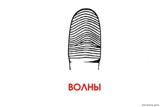 Подивися на свої пальці: а раптом ти – геній? - фото 158914