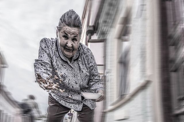 Фотограф показав світ очима бездомного собаки - фото 163179