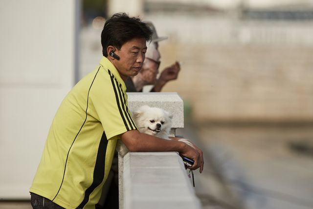 Як насправді живе еліта Північної Кореї: вражаючі фото - фото 158945