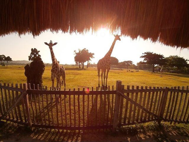 Без слідів сучасної людини: вражаюча краса островів у Філіппінах - фото 162094