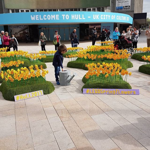 У британському містечку "розквітло" поле Lego-нарцисів - фото 159208