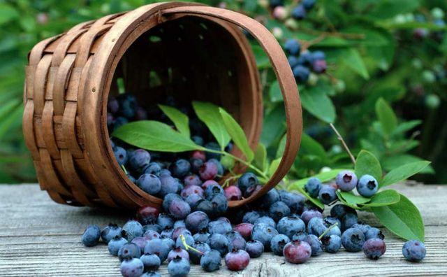 Продукти, які можна їсти скільки завгодно, не набираючи вагу - фото 159916