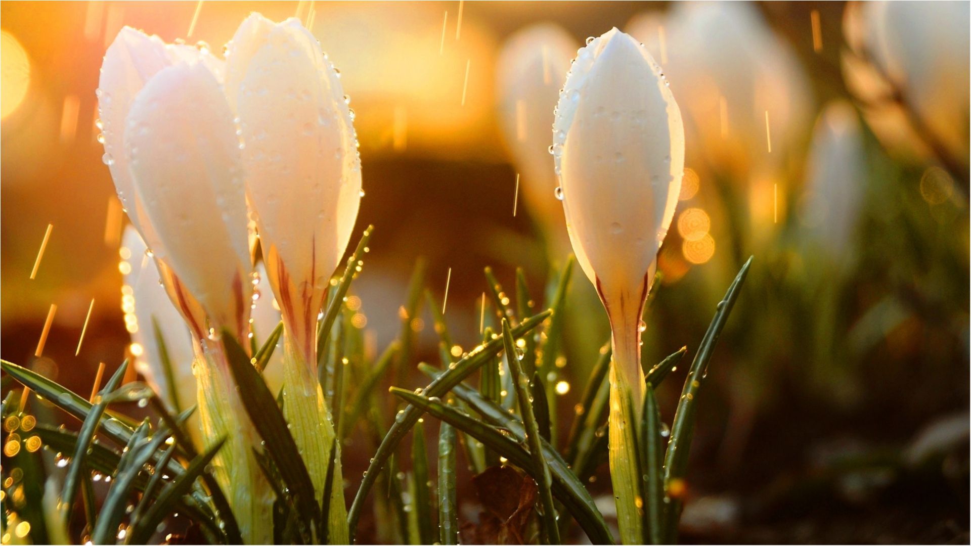 Погода на вихідні: де чекати холоду й дощу?