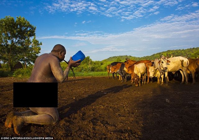 Як виглядає конкурс краси серед чоловіків в Ефіопії (18+) - фото 156754