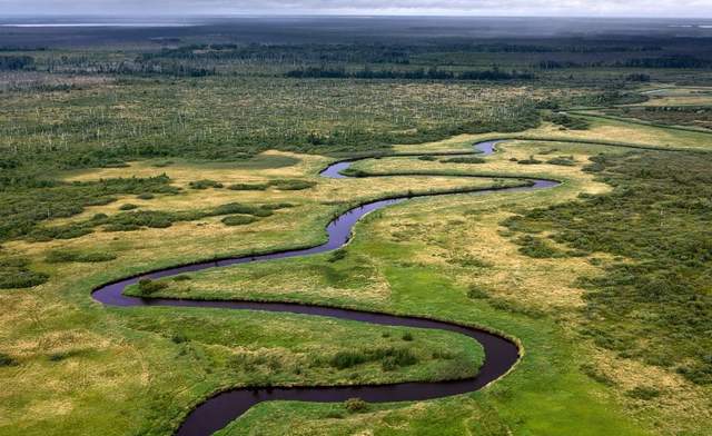 Як виглядає найбільше болото в світі: дивовижні фото - фото 166986