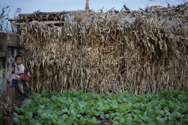 Як живуть діти в Північній Кореї: шокуючі фото - фото 168005