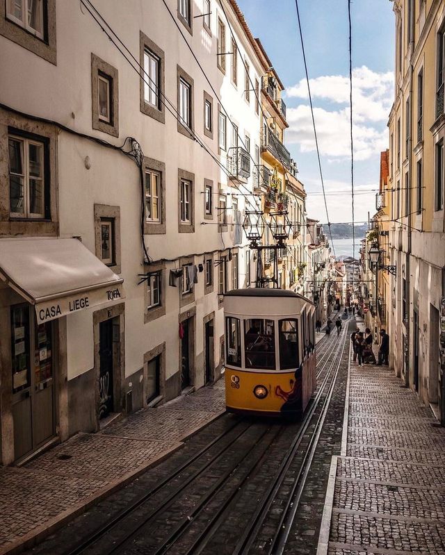 Чарівна Естонія на вуличних фото - фото 166100