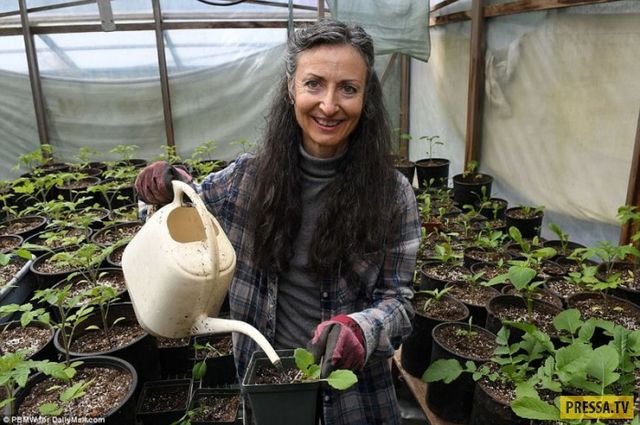 Канадське подружжя 25 років мешкає на воді: ефектні фото - фото 169042