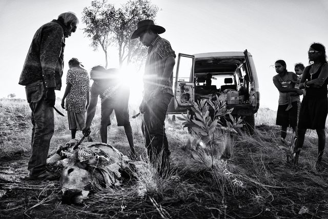 Реалії життя австралійських аборигенів: ефектні фото - фото 167322