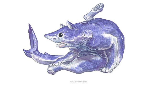 Якби акули були котами: веселі ілюстрації - фото 166652