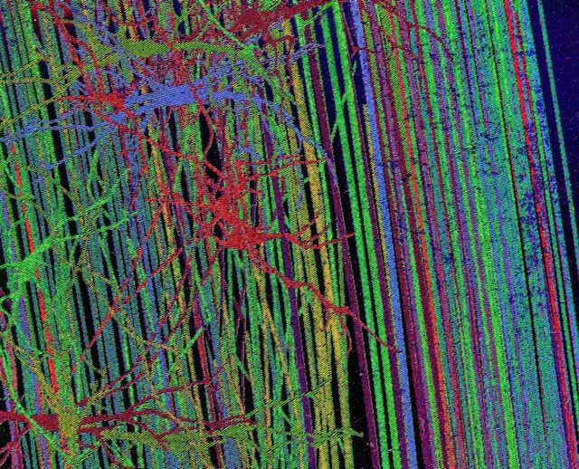 Це варто побачити: автопортрет мозку людини - фото 170500