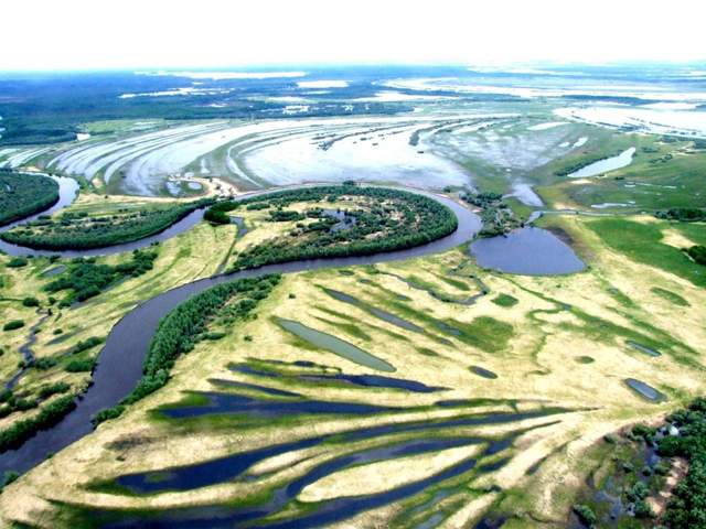 Як виглядає найбільше болото в світі: дивовижні фото - фото 166988