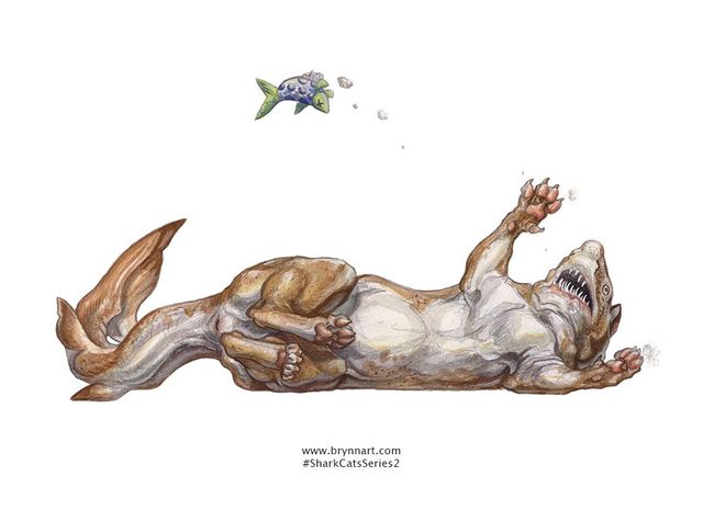 Якби акули були котами: веселі ілюстрації - фото 166639