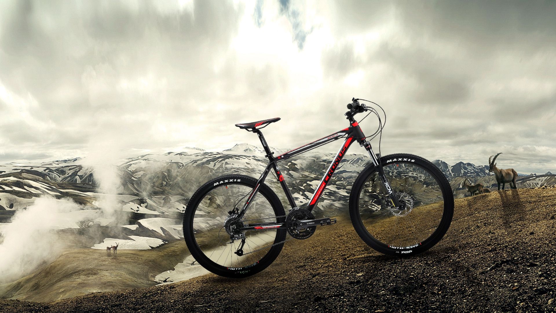 У Нідерландах розробили велосипед, який очищає повітря