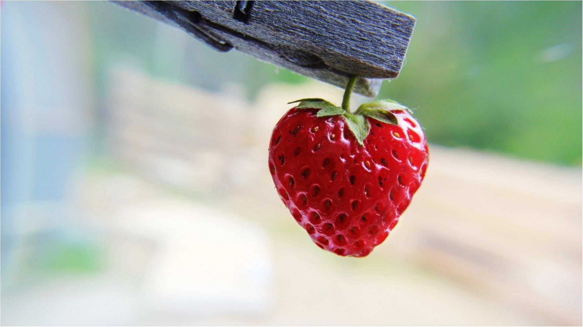 Сезон відкрито! Як обрати найкращу полуницю?