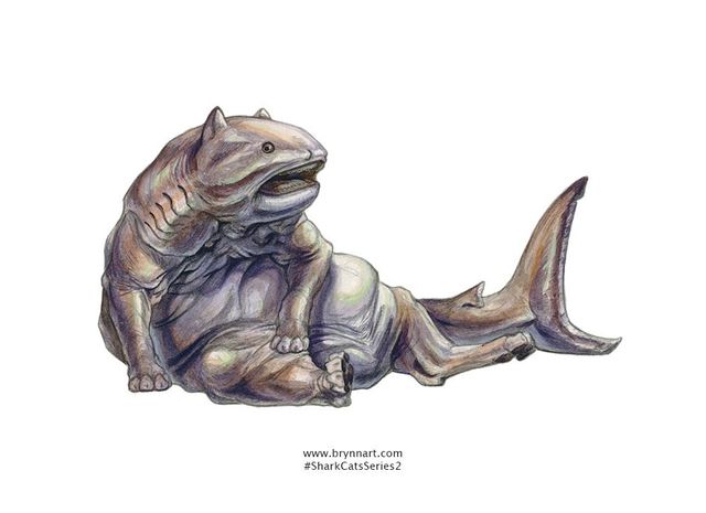 Якби акули були котами: веселі ілюстрації - фото 166641