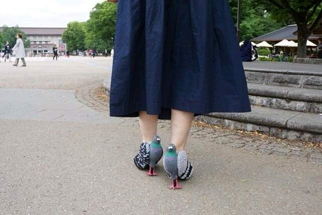 Такого ви ще не бачили! Японка "одягла" на ноги голубів - фото 169412