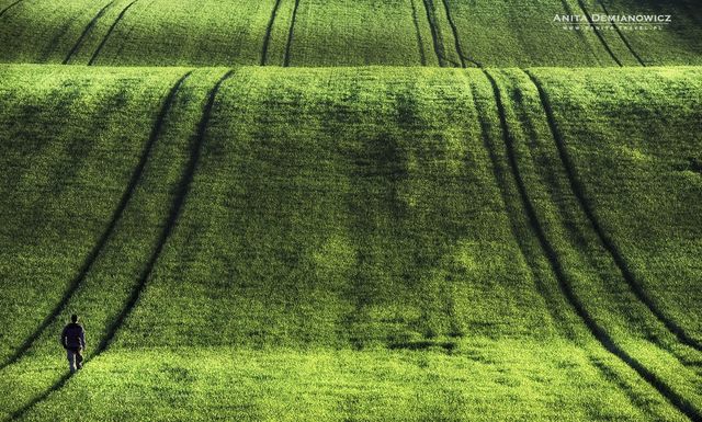 Неймовірна Чехія в об'єктиві талановитого фотографа - фото 170212