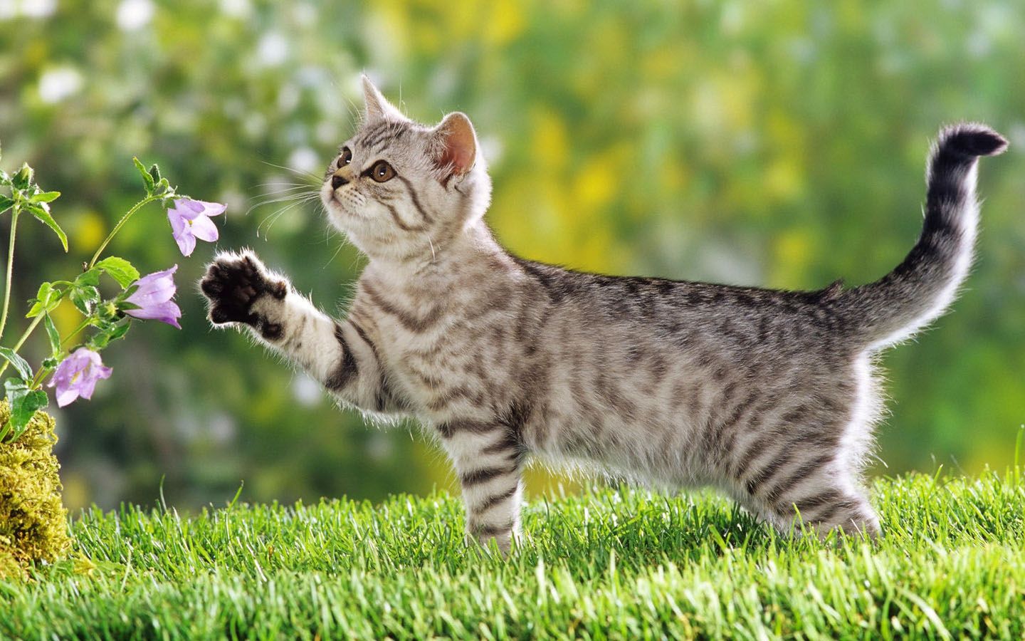 Як боротися з весняною алергією?