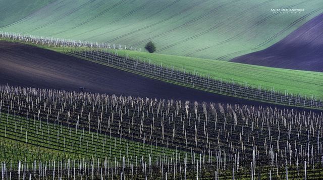 Неймовірна Чехія в об'єктиві талановитого фотографа - фото 170211
