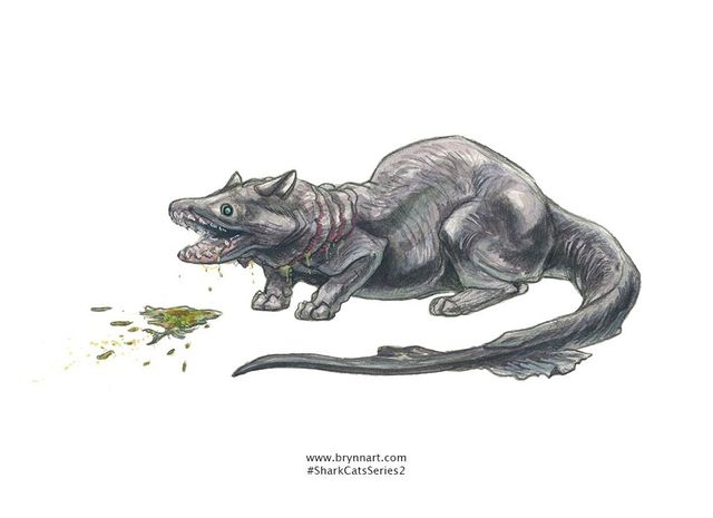 Якби акули були котами: веселі ілюстрації - фото 166643