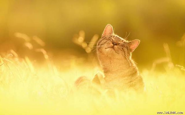 Стало відомо, коли в Україну повернеться тепло - фото 1