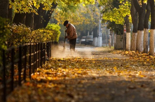 День Києва: захопливі фото української столиці - фото 169758