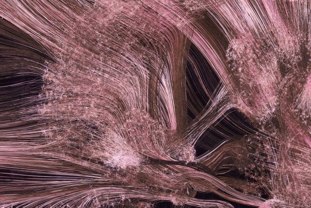 Це варто побачити: автопортрет мозку людини - фото 170502