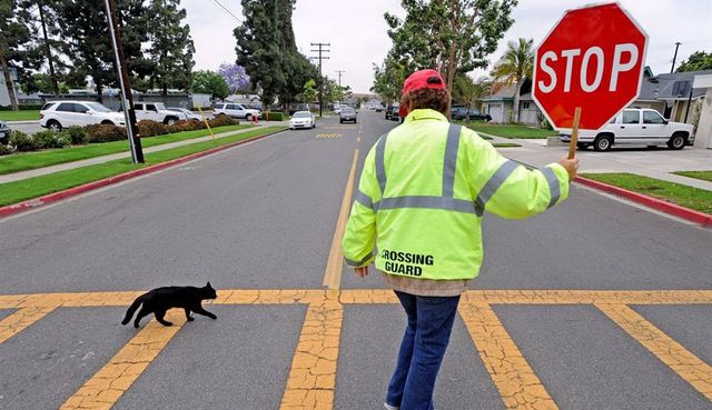 Ці речі позбавляють вас шансів на щастя - фото 165627