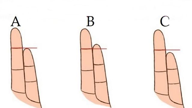 Ось як довжина пальців впливає на характер: це вас здивує - фото 163967