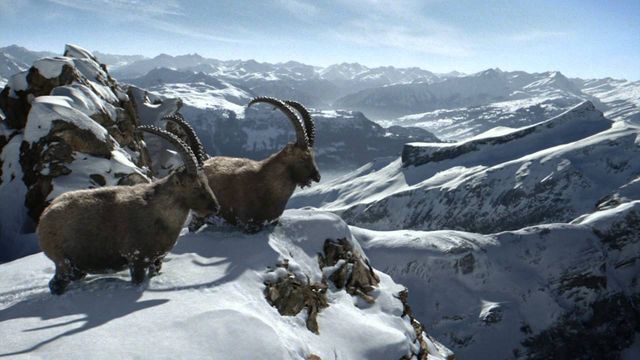 Занадто красиве: у Швейцарії заборонять фотографувати одне з селищ - фото 170734