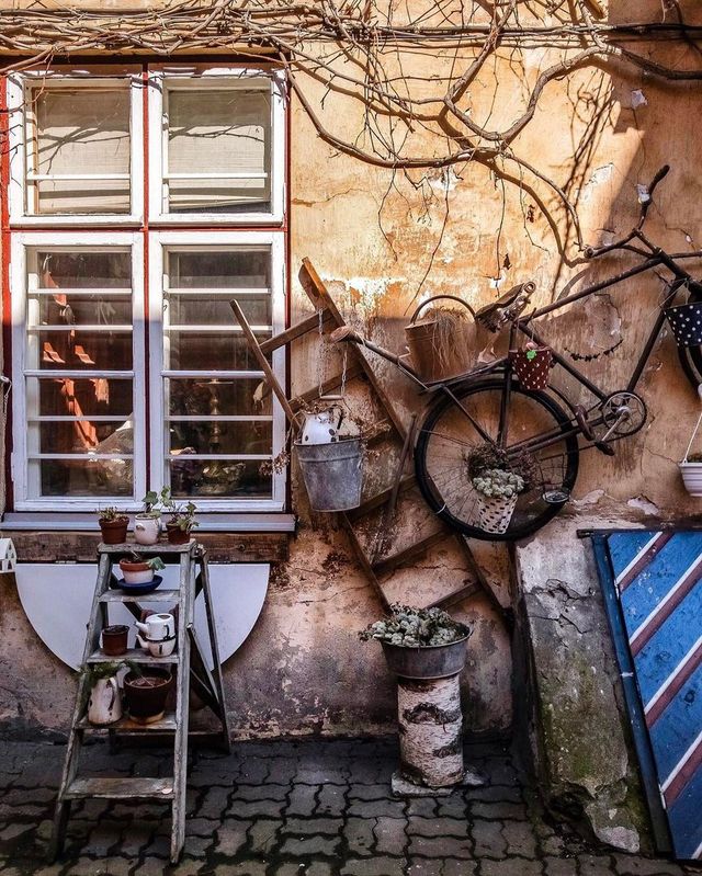 Чарівна Естонія на вуличних фото - фото 166107