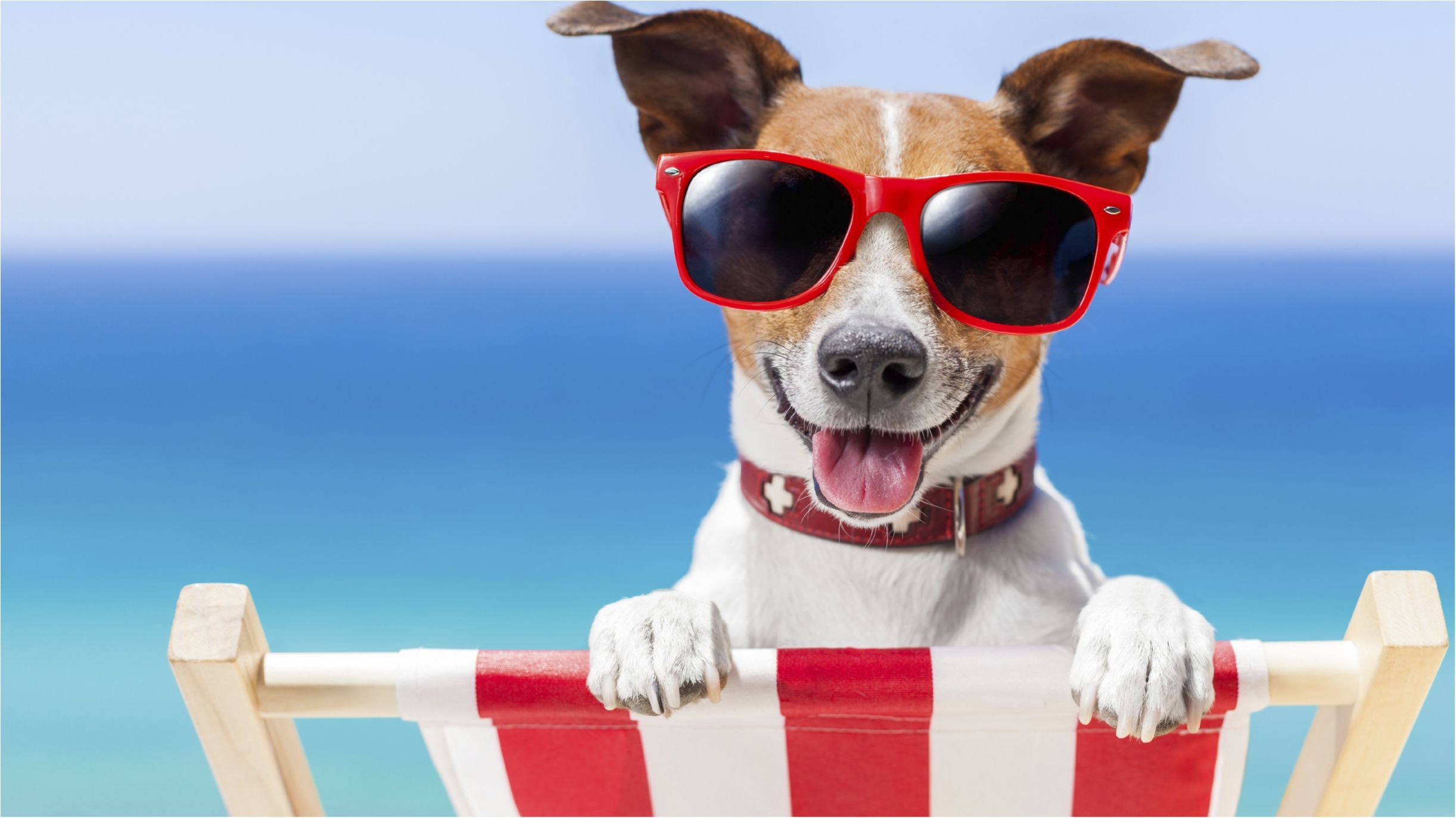 Літо - фото 1