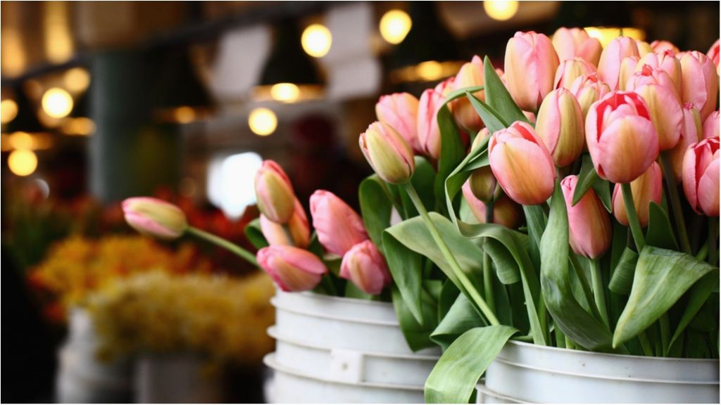 Сюрприз! Яку погоду українцям очікувати на вихідних?